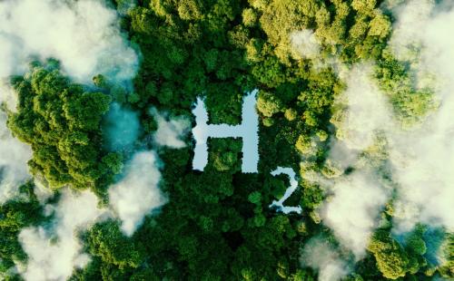 H2 forest